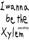 I wanna be the Xylem